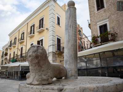 ...privo degli arti posteriori, mentre quelli anteriori, incrociati, gli permettono di apparire accucciato
